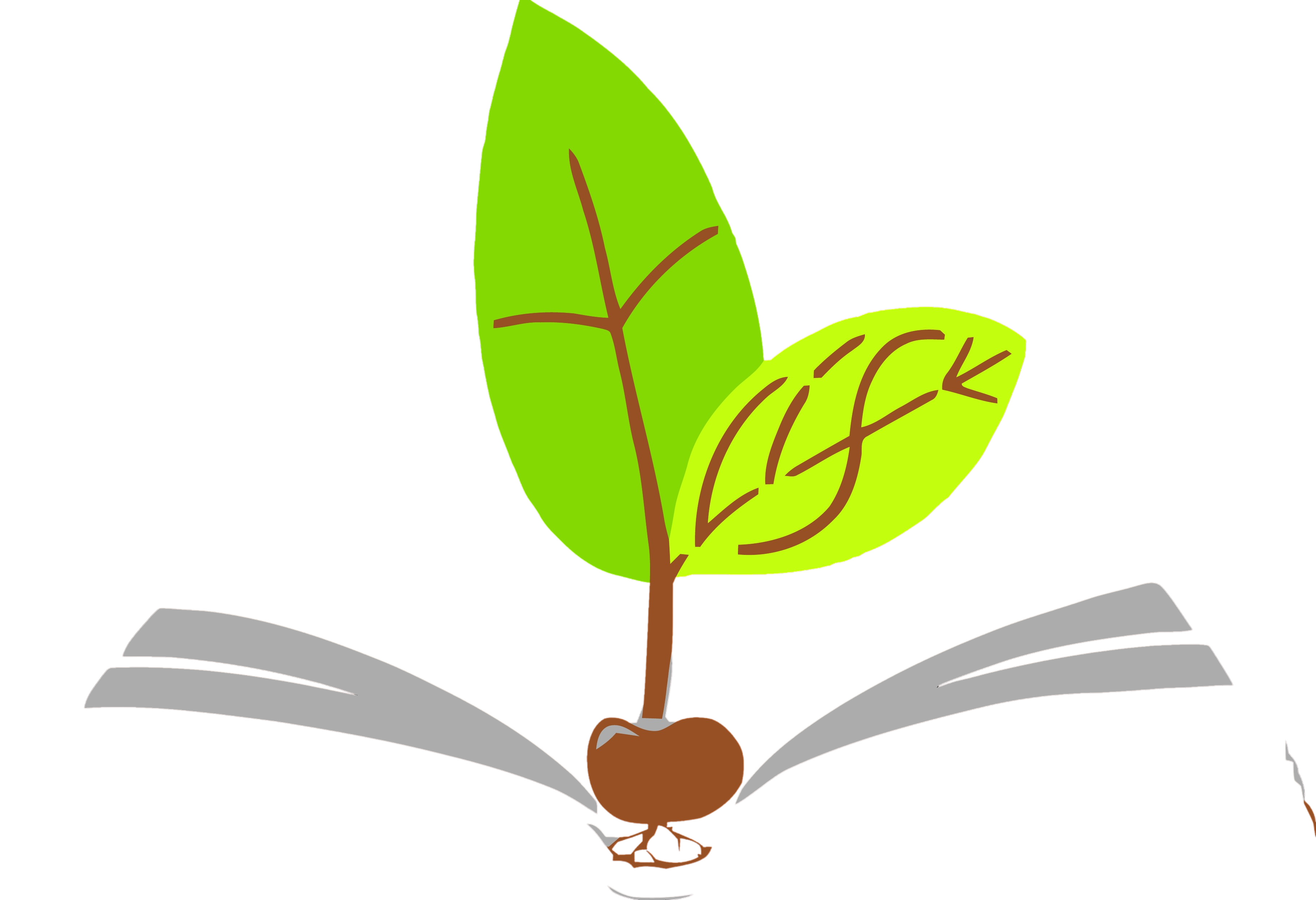 Leamington International FEllowship - LIFE Logo